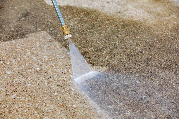 Animal Enclosure Cleaning in Pierceton, IN
